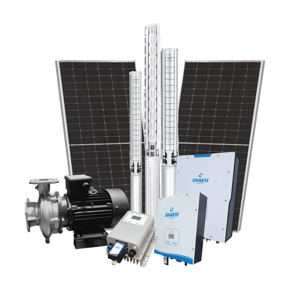 Pompes immergées solaires DC (DCSSP)